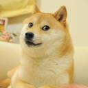 Doge Meet Chrome extension download