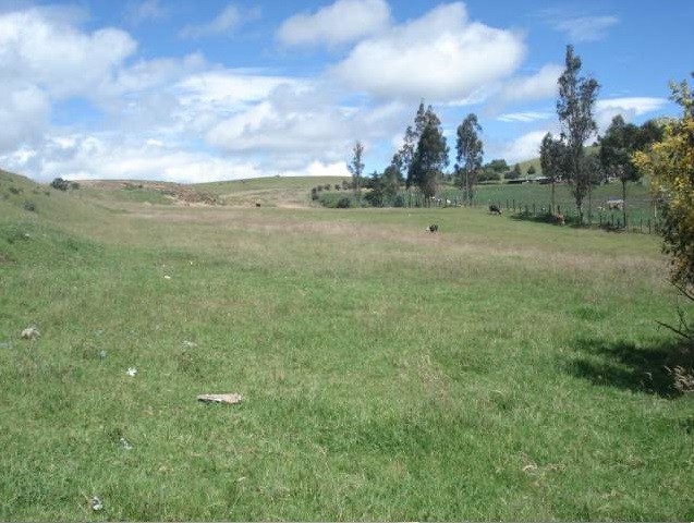 Lote En Venta - Vereda Tilata, Choconta