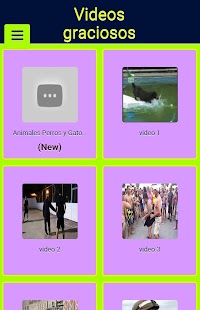 Lastest Videos graciosos APK for PC