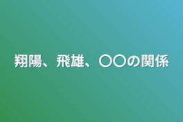 翔陽、飛雄、〇〇の関係