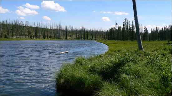 download Menakjubkan Nature Wallpaper free