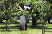 This Vulturine fish eagle sculpture in Durban’s Bulwer Park is made exclusively from waste materials.