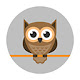 Funny Owl Wallpaper HD