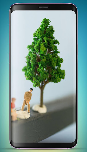 Bonsai Tree Wallpaper HD