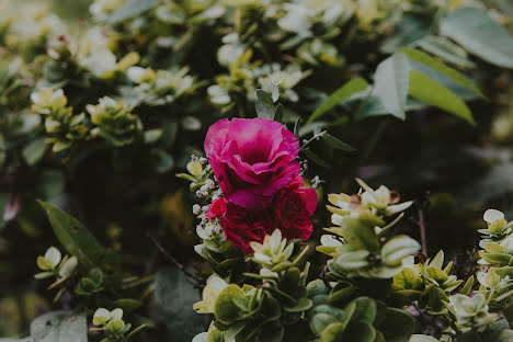 Wedding photographer Pame Maya (pamelamayaphoto). Photo of 13 December 2024