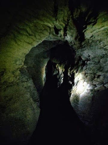 Ruakuri Cave