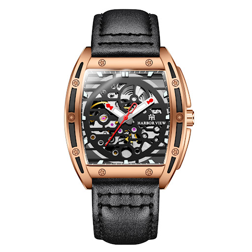 Title 1, Luminous Waterproof Automatic Mechanical Watch ...