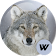 Loup Fonds d'écran HD 🐺 (Wolf Wallpapers) icon