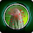 Ghost Detector icon