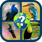 Cover Image of Download Birds Quiz 1.08 APK