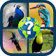 Birds Quiz Game - 2019