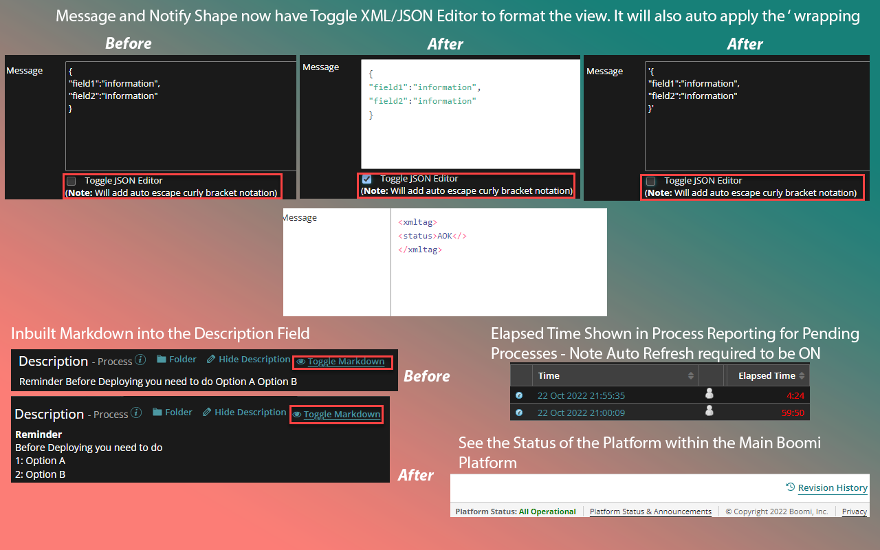 Boomi Platform Enhancer Preview image 3