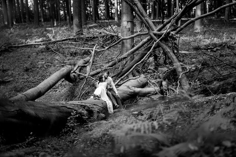 Fotografer pernikahan Stanisław Gwizdak (sgwizdak). Foto tanggal 21 Maret 2021