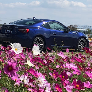 BRZ ZC6