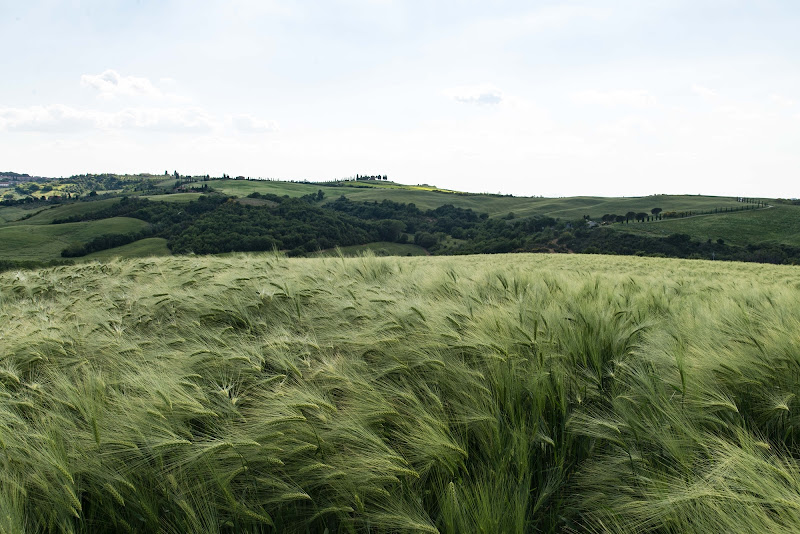 Val d'Orcia di Wolfy47