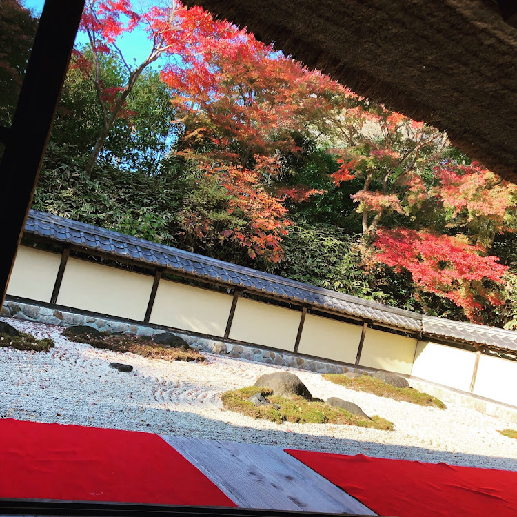 Nボックスカスタムのドライブ・紅葉・公園にてに関するカスタム事例の投稿画像4枚目