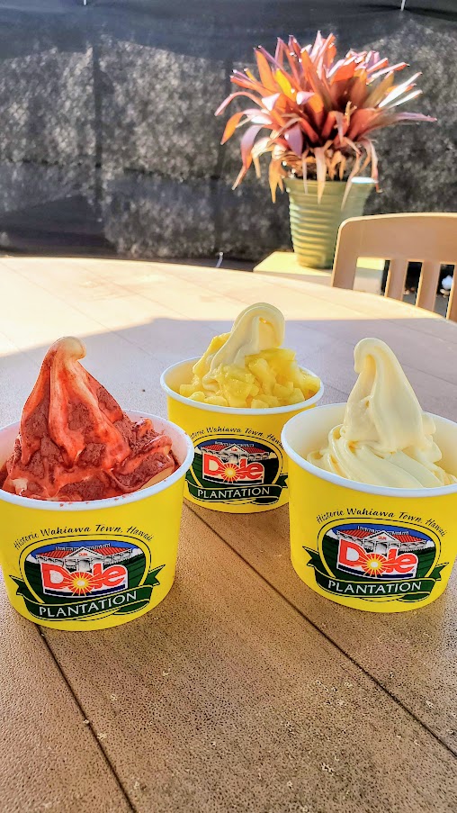 Review of Visiting Dole Plantation: the main reason is to have Dole Whip. Admission to the plantation itself is free if you don't do the activities - though of course you have to pay for your serving of Dole Whip