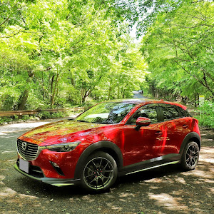 CX-3 DK5FW