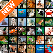 Animal Wallpapers HD  Icon