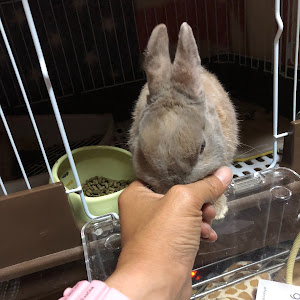 アリスト