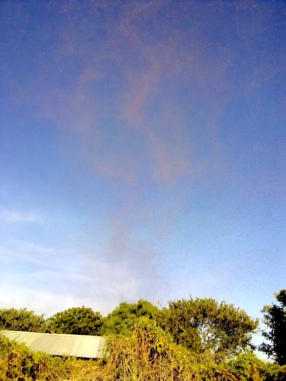 Locust swarms in Kulani in Garissa County on January 21, 2021.