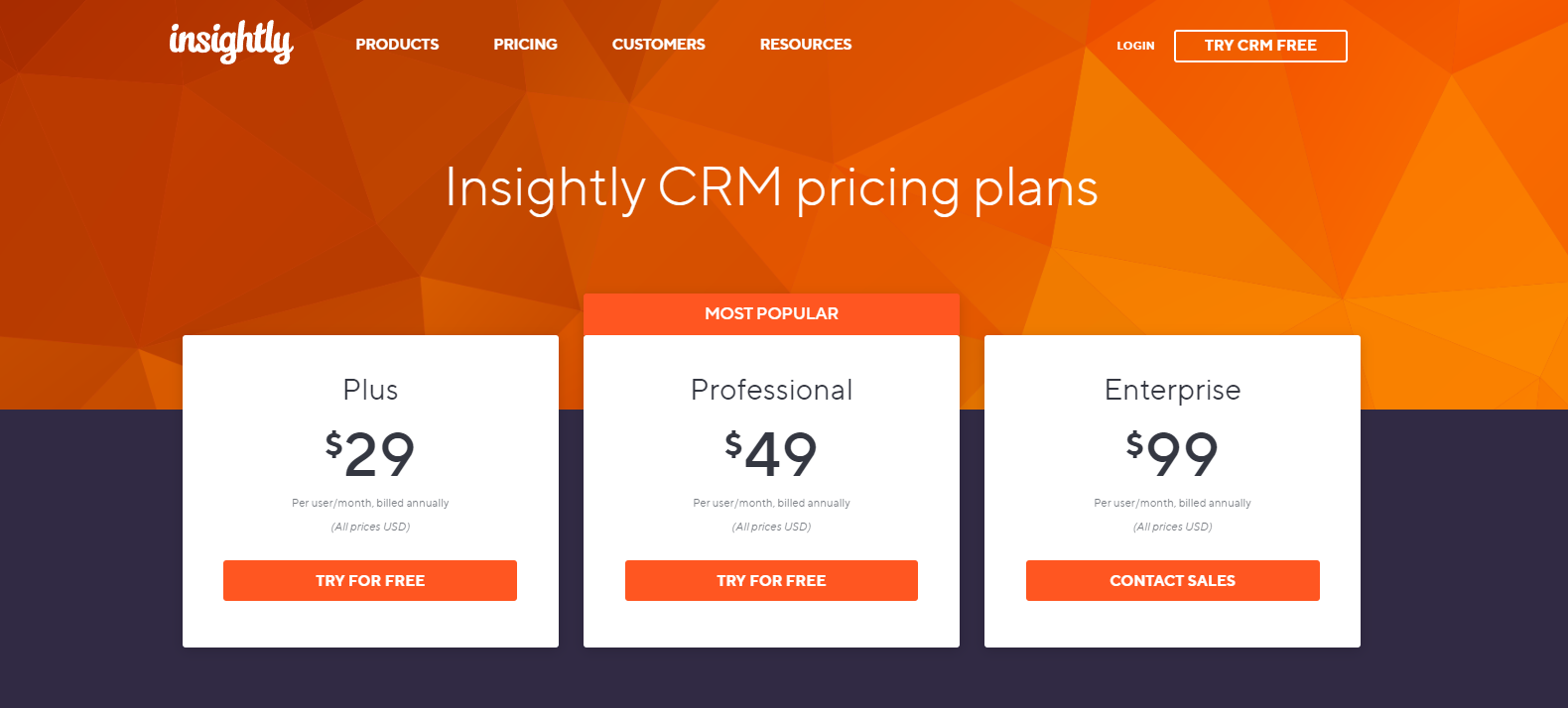 Insightly CRM Pricing The Actual Cost with Details RevPilots