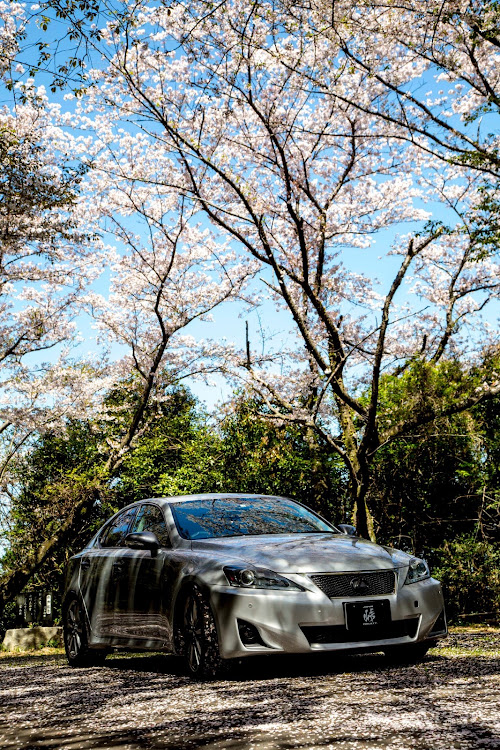 ISのドライブ・桜に関するカスタム事例の投稿画像2枚目