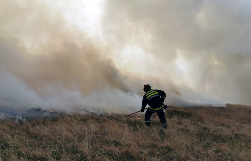 Most Wildfires in South Serbia Under Control