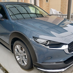 CX-30 DMEP