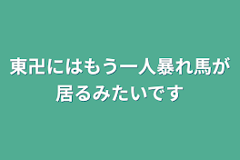 東卍にはもう一人暴れ馬が居るみたいです