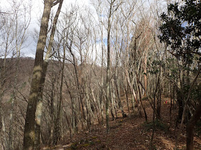 山頂との標高差は無し