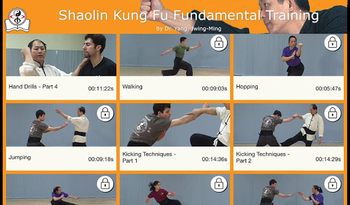 Shaolin Kung Fu LITE