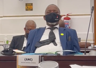 Mineral resources and energy minister Gwede Mantashe is the latest to be caught apparently sleeping during a parliamentary sitting.