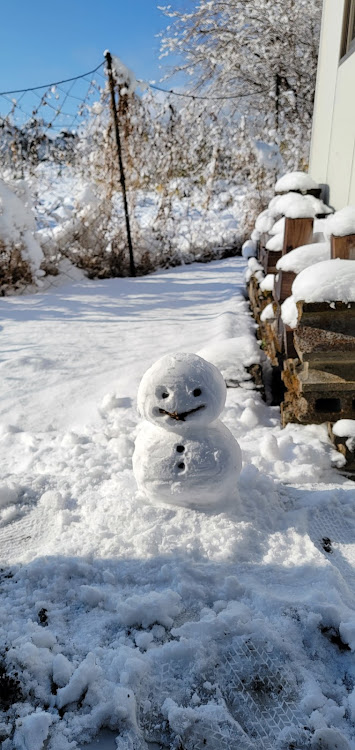 フォレスターのフォレスタースポーツ・#subaru・#forestersport・#雪景色・雪景色と愛車に関するカスタム事例の投稿画像4枚目