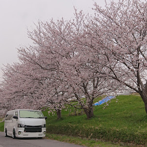 ハイエースバン KDH201V