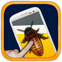 Download 🐞Crazy Phone Beer🐞 Install Latest APK downloader