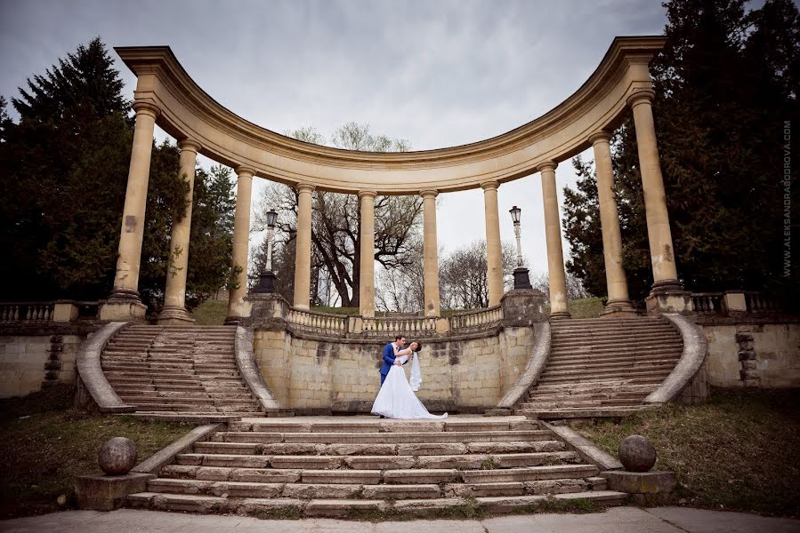 Vestuvių fotografas Aleksandra Bodrova (aleksbodrova). Nuotrauka 2015 gruodžio 22