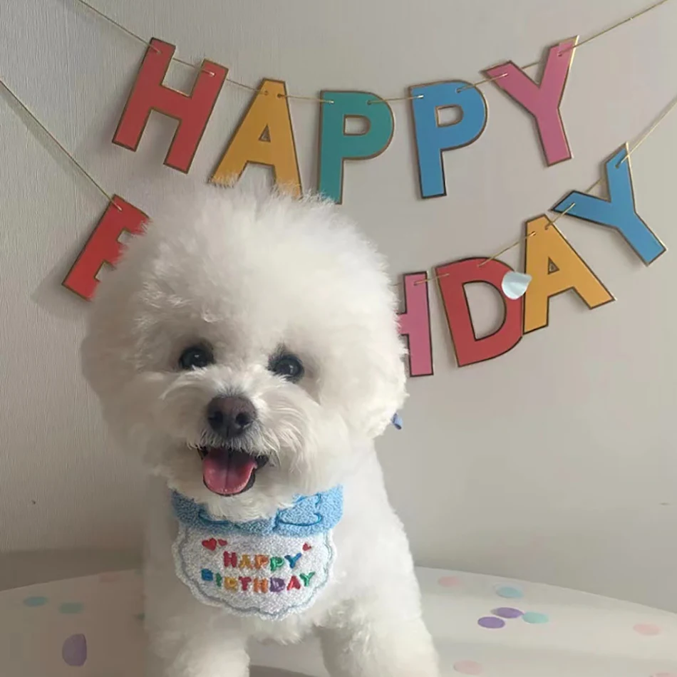 Fantastic Dog Birthday Bandana Hat with Soft and Lightweight Plush Material for Small Medium Large Dog