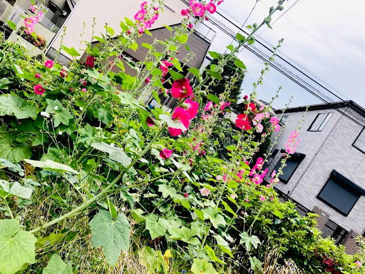 「復讐」のメインビジュアル