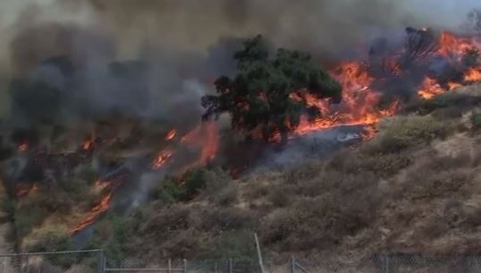 Over a thousand firefighters continue to battle the La Tuna fire in Los Angeles on Sunday, the largest wildfire in the city’s history.