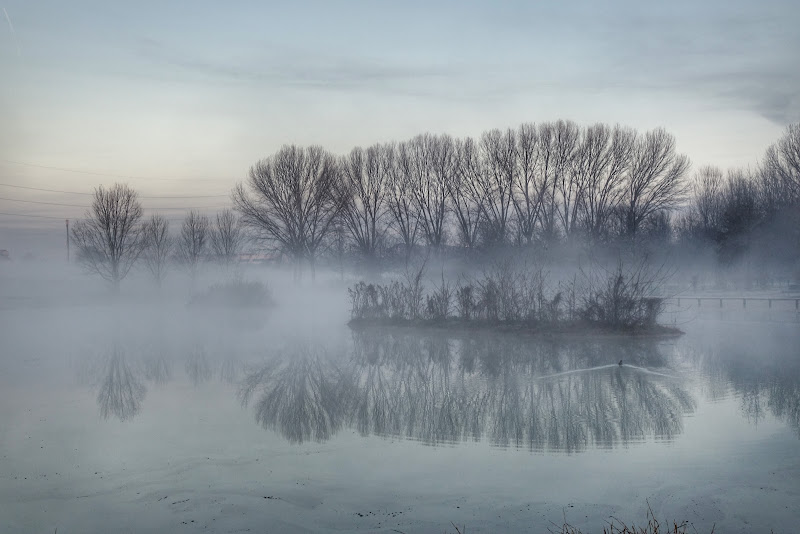 Riflessi incerti di Jorjo