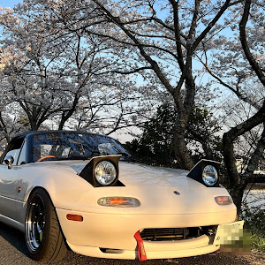 ロードスター NA8C