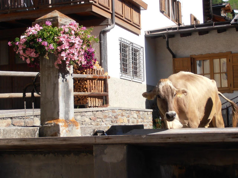 Fontana di supergigi