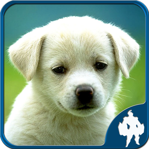 動物拼圖 解謎 App LOGO-APP開箱王