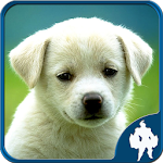 Cover Image of Télécharger Puzzles d'animaux 1.6.5 APK