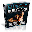 Muscle Building Guide