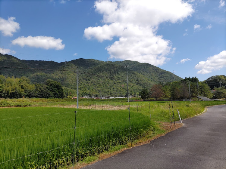 アルファードの帰省・田舎はいいぞに関するカスタム事例の投稿画像5枚目