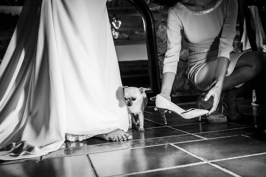 Photographe de mariage Concha Ortega (concha-ortega). Photo du 31 octobre 2017