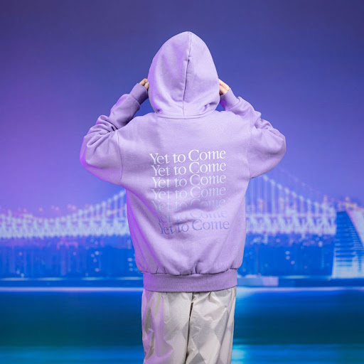 Title 2, Womens Purple Zip Sweater Hoodie