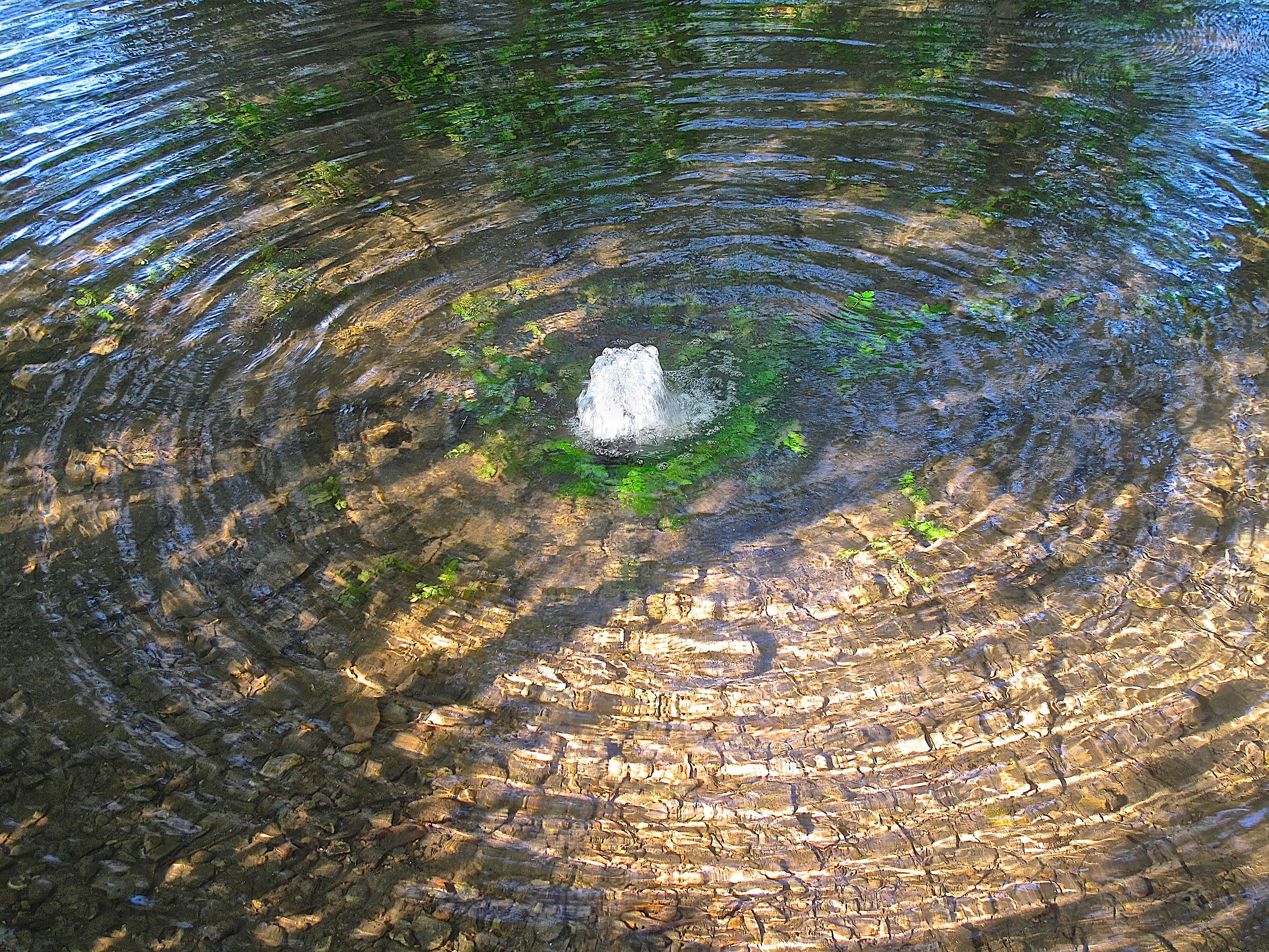 Cerchi nell'acqua. di sangiopanza